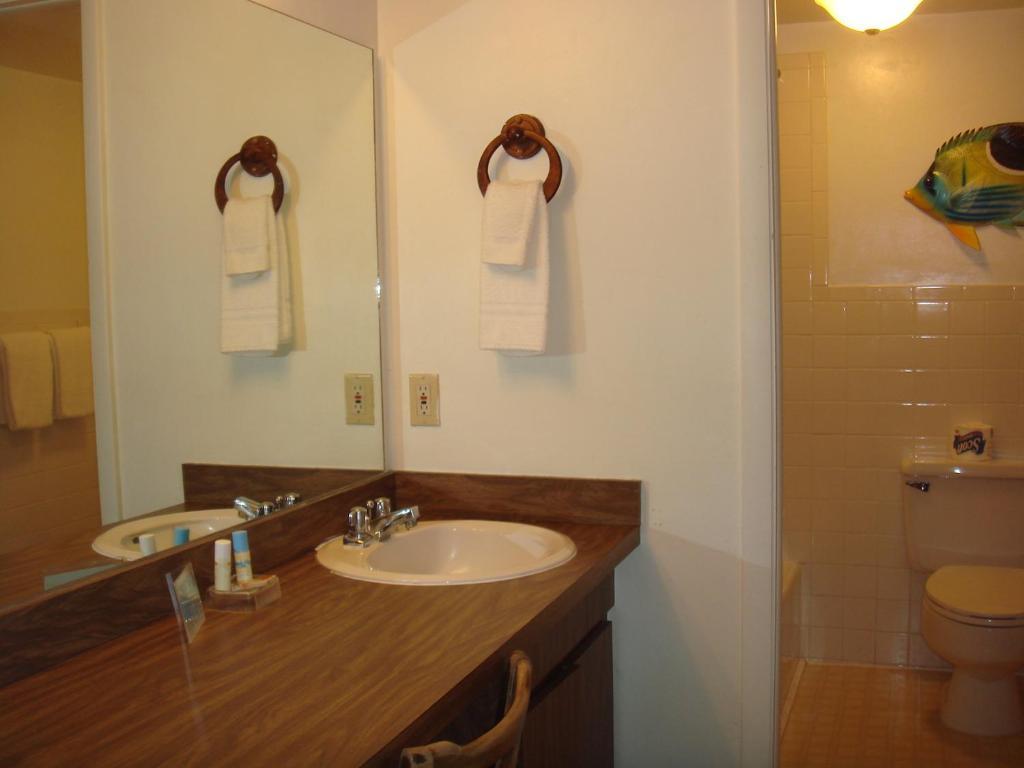 Beach Shell Inn Fort Myers Beach Habitación foto